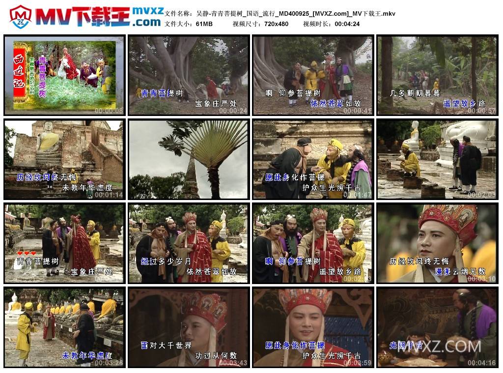 吴静-青青菩提树_国语_流行_MD400925
